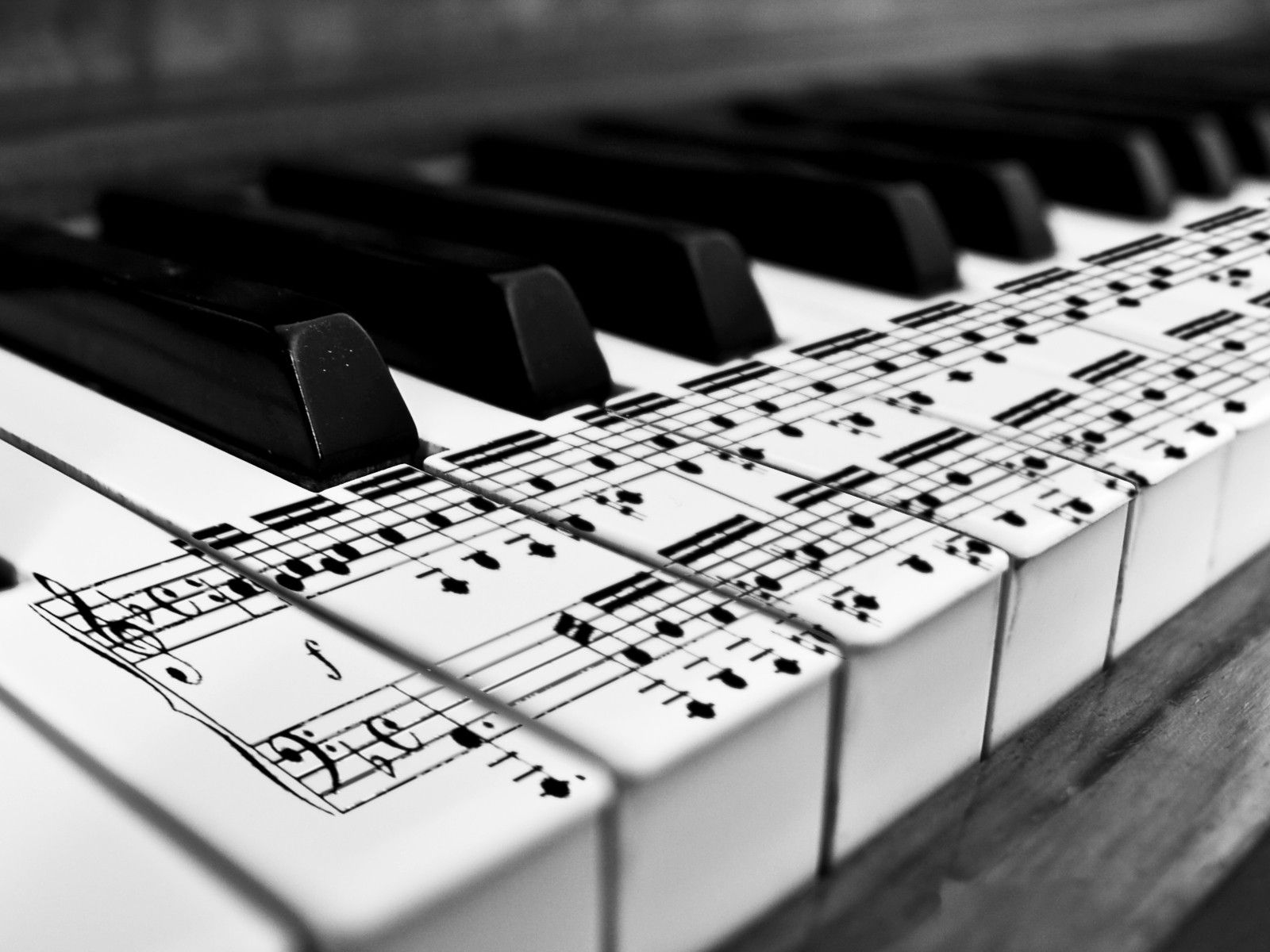 Famous Performances on “Moonlight” Sonata